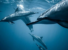 bob半岛体育官方网站-【直播】369:拿二阵是运气好;咖哥世界赛加油我努力见他